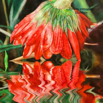 image-gallery